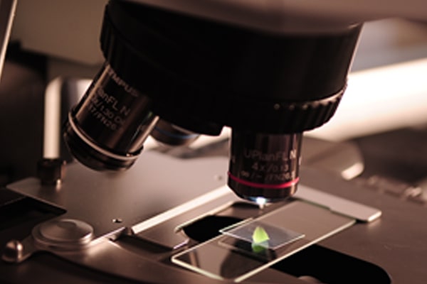 Customized Special Monomer / Special Additive Service